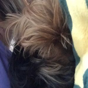 Meet your Posher, Angela